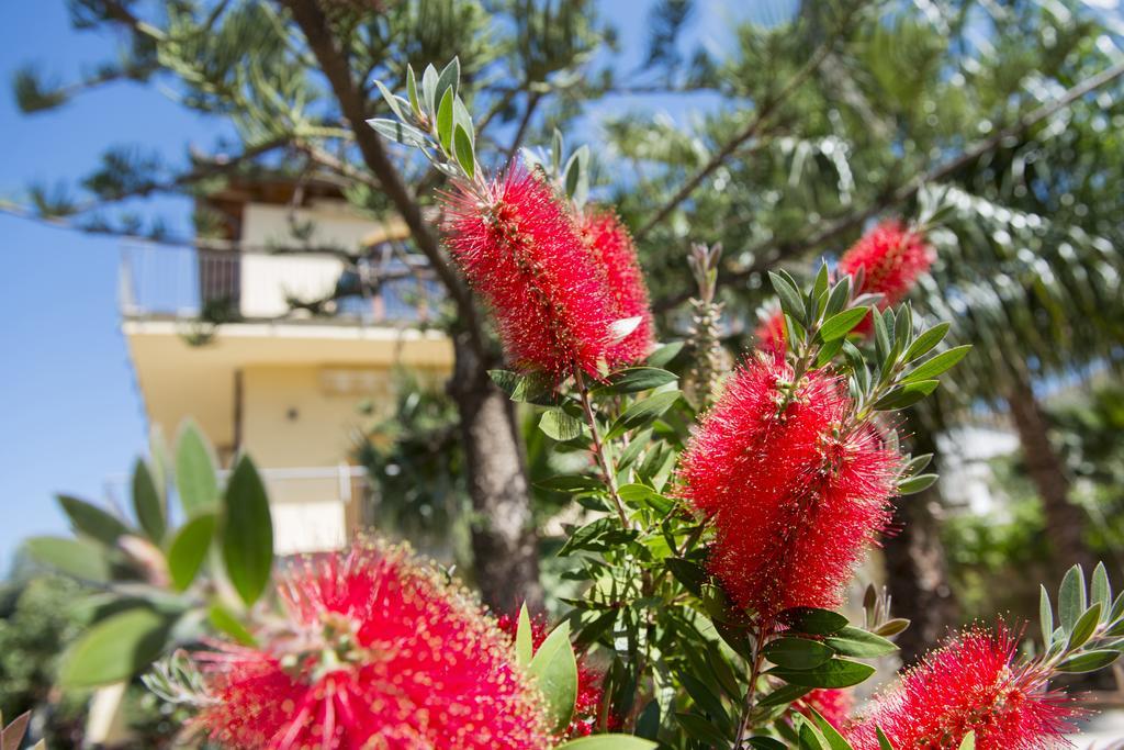 Helios Casa Vacanze Alcamo Marina Zewnętrze zdjęcie